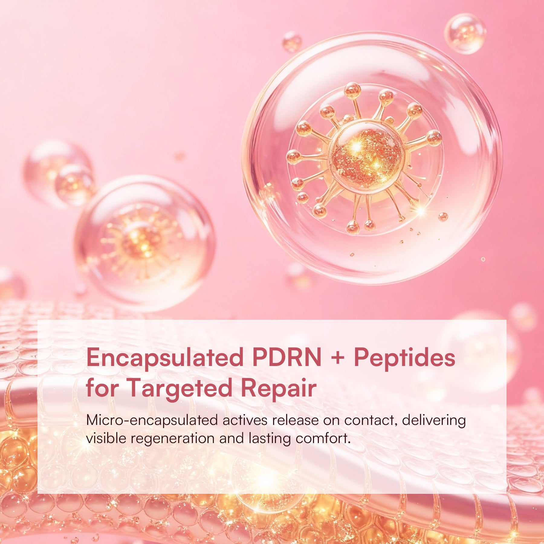 INIA PDRN + Peptide Repair Cream